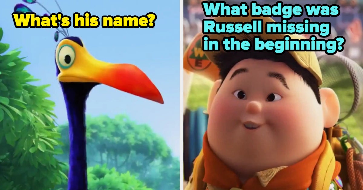 Disney Up Movie Trivia Quiz