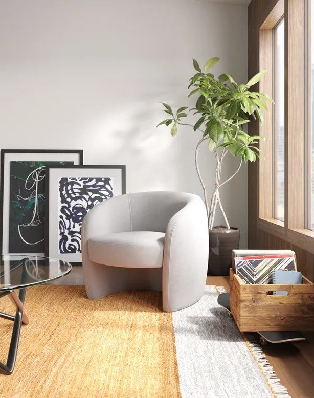 gray barrel chair in corner of living room in front of big plant