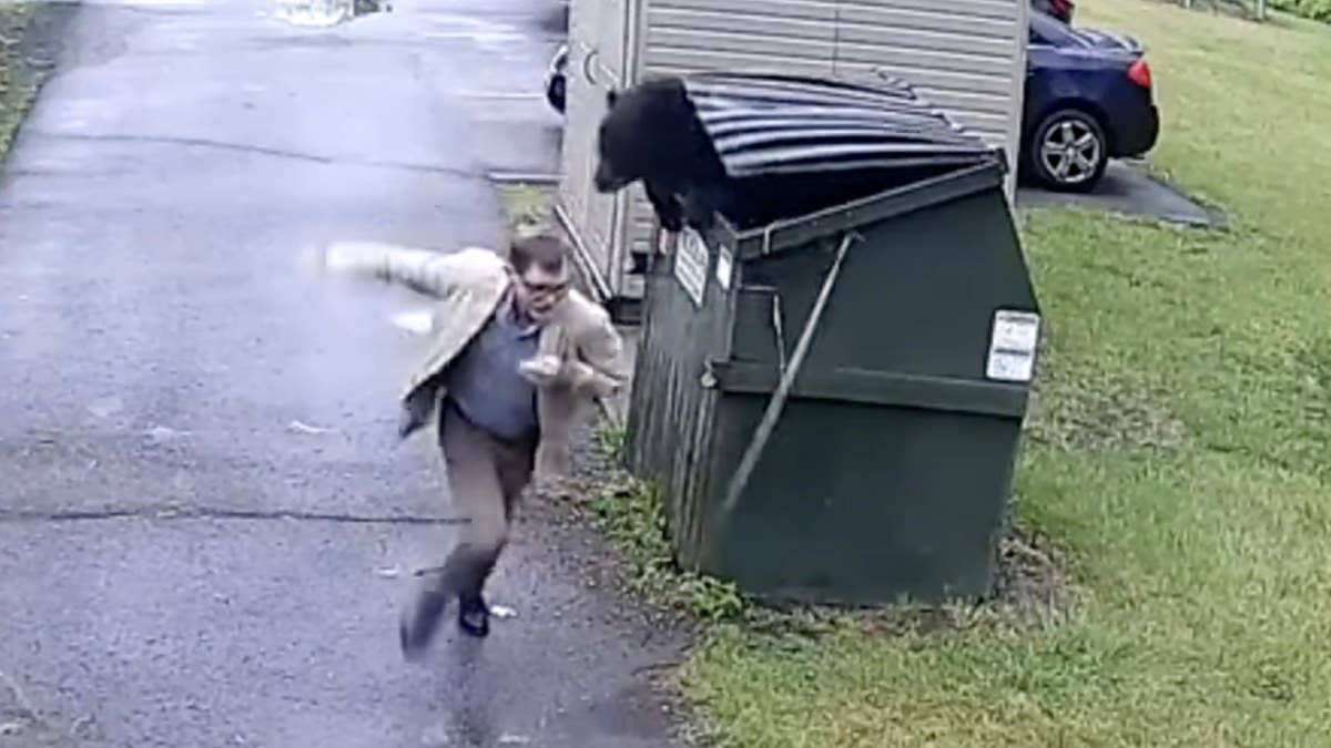 A security camera captured the moment when a horrified West Virginia elementary school principal found a black bear poking its head out of a dumpster.