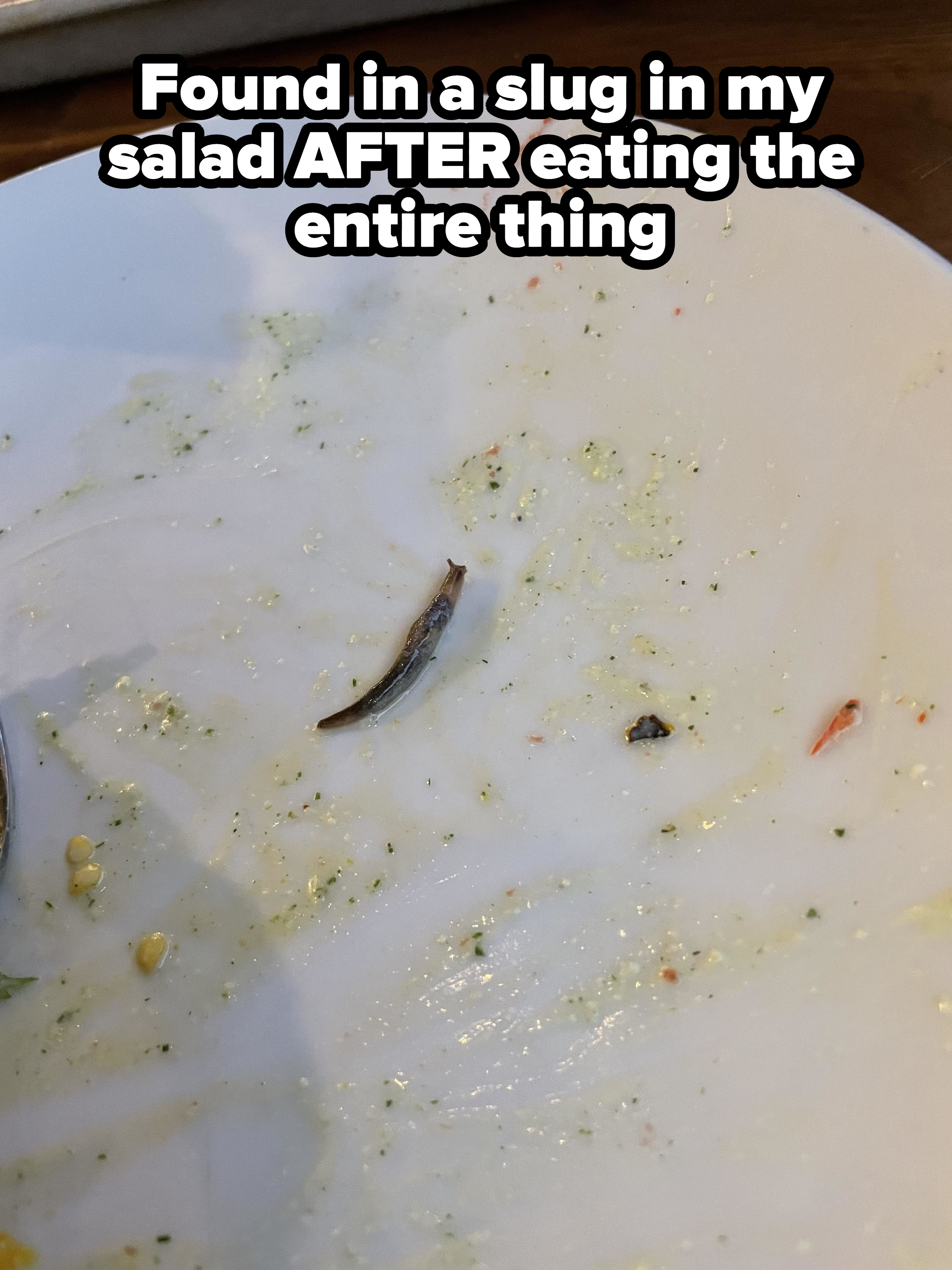 A slug on someone&#x27;s empty plate