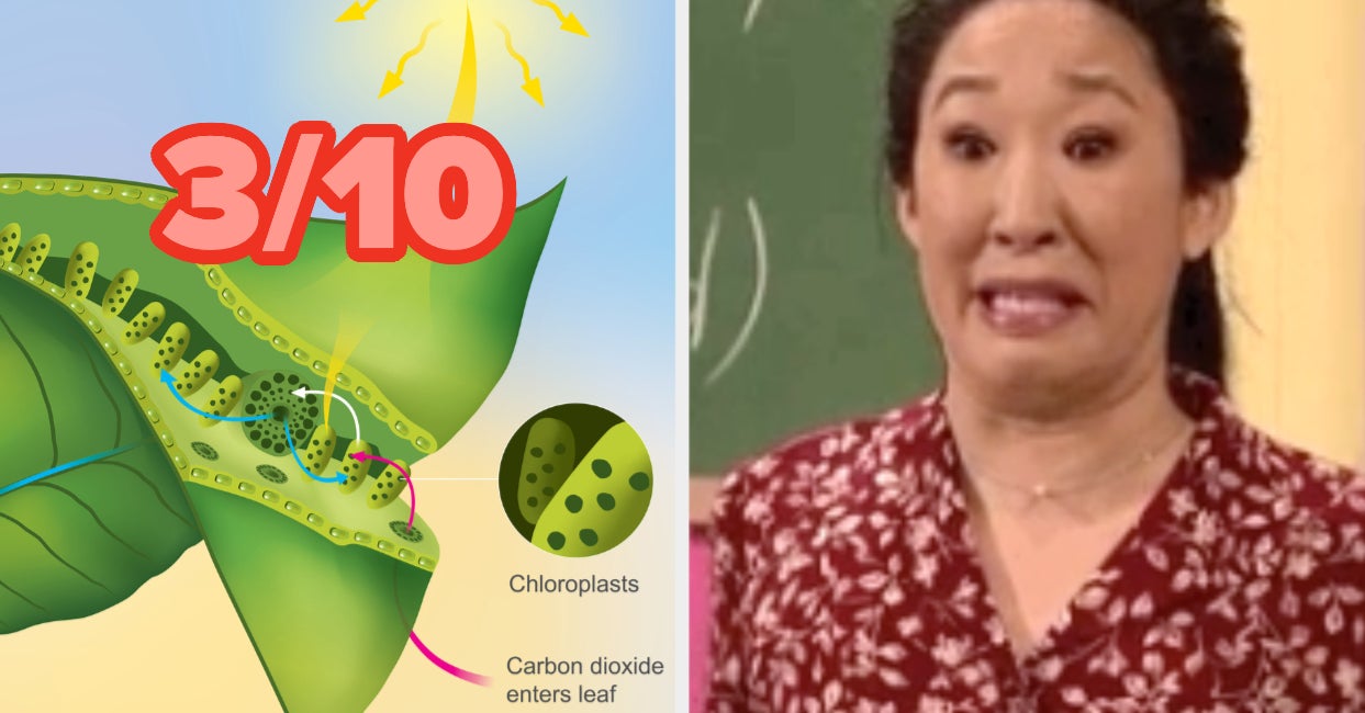 Science Quiz