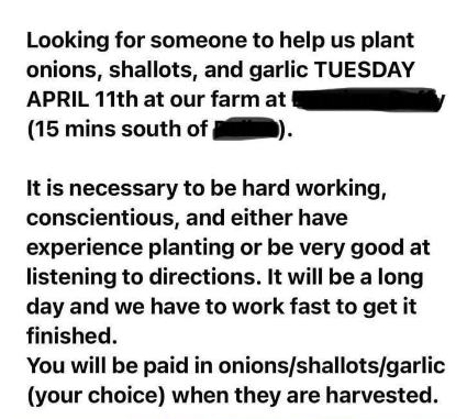 &quot;You will be paid in onions/shallots/garlic&quot;