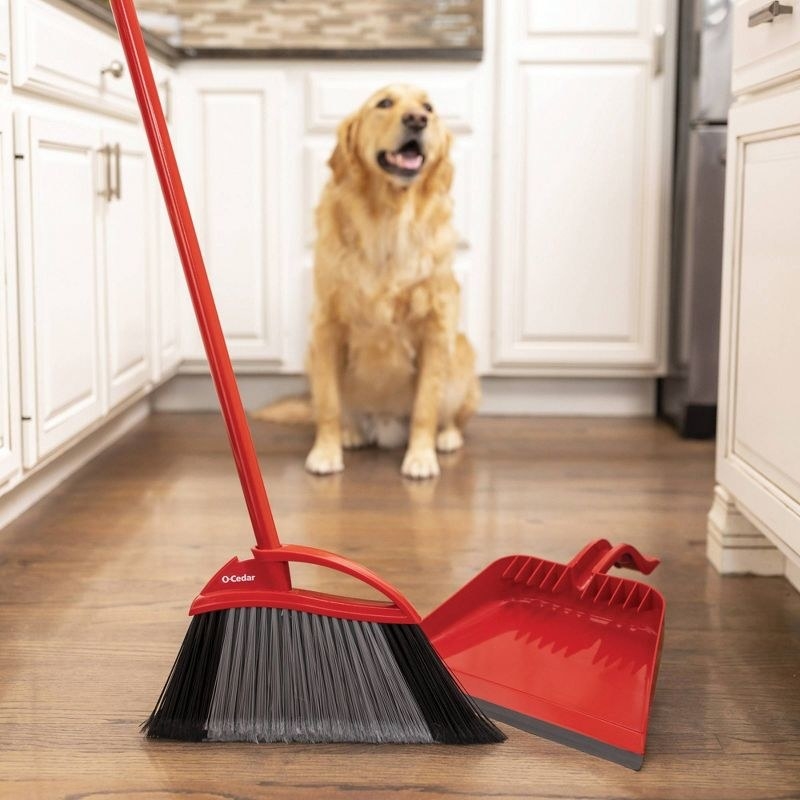 the broom and dust pan