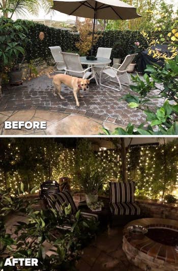 a reviewer shows the lights on bushes outside and turned on at night