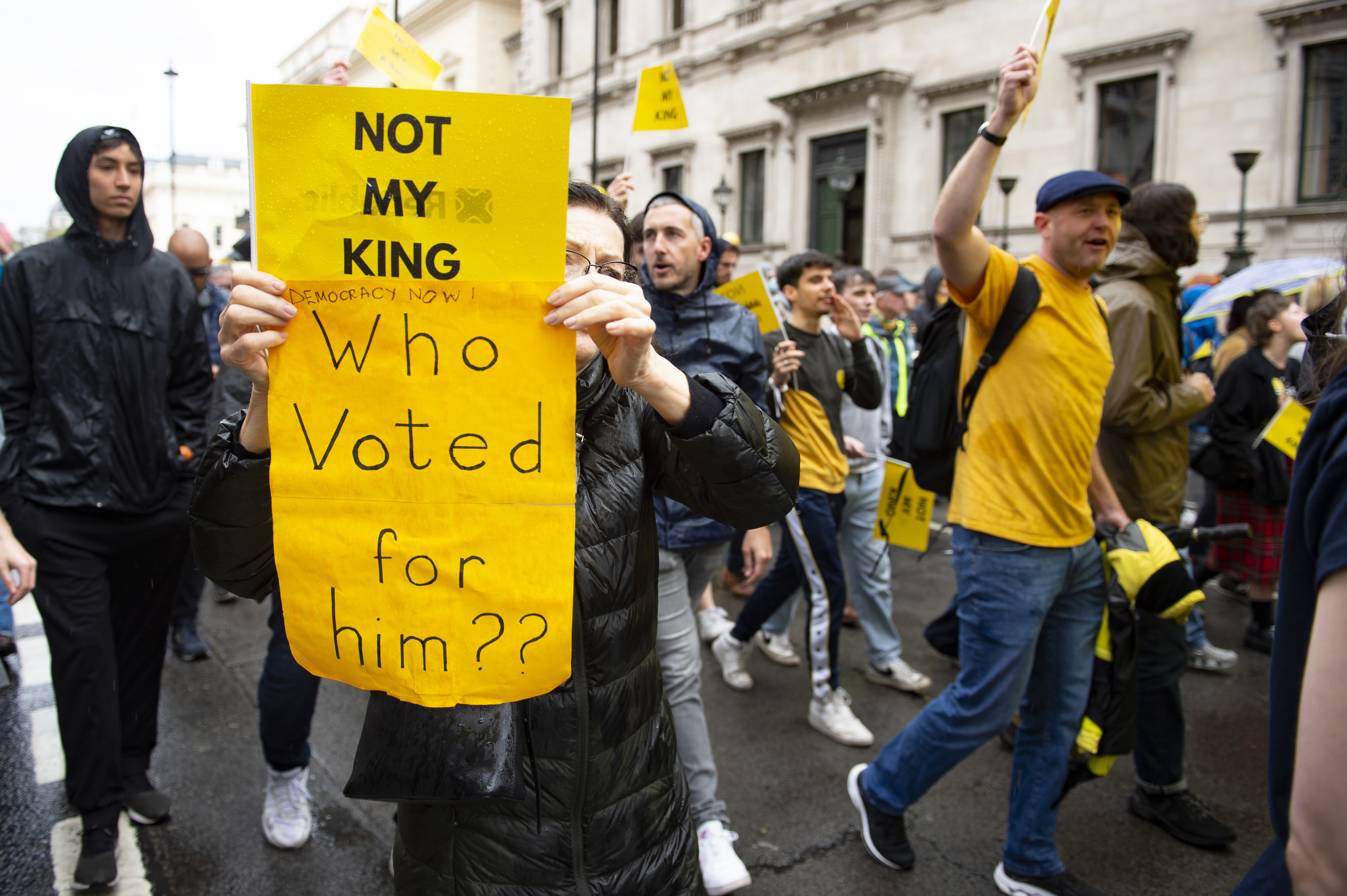 sign, not my king, who voted for him?