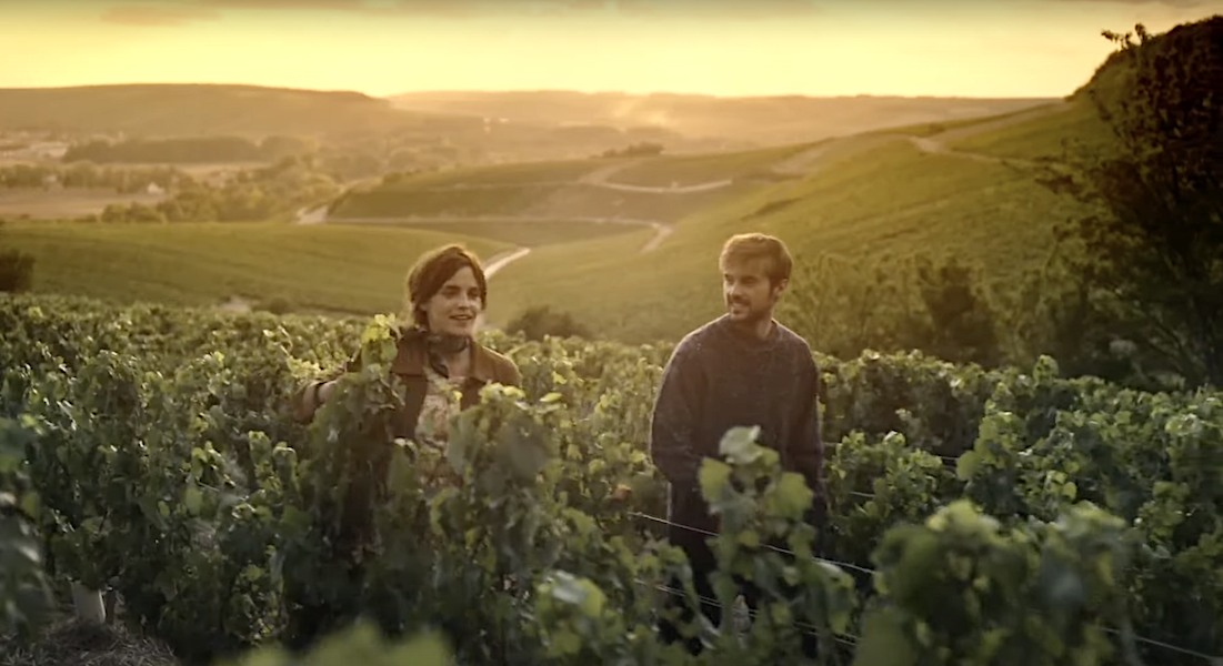 Emma Watson and Alex Watson in the fields