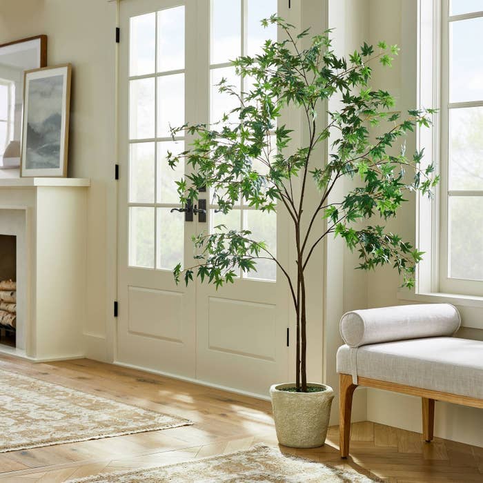 The tree in a living room
