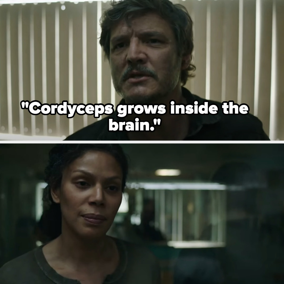 Joel saying &quot;Cordyceps grows inside the brain&quot; and Marlene&#x27;s deadpan face