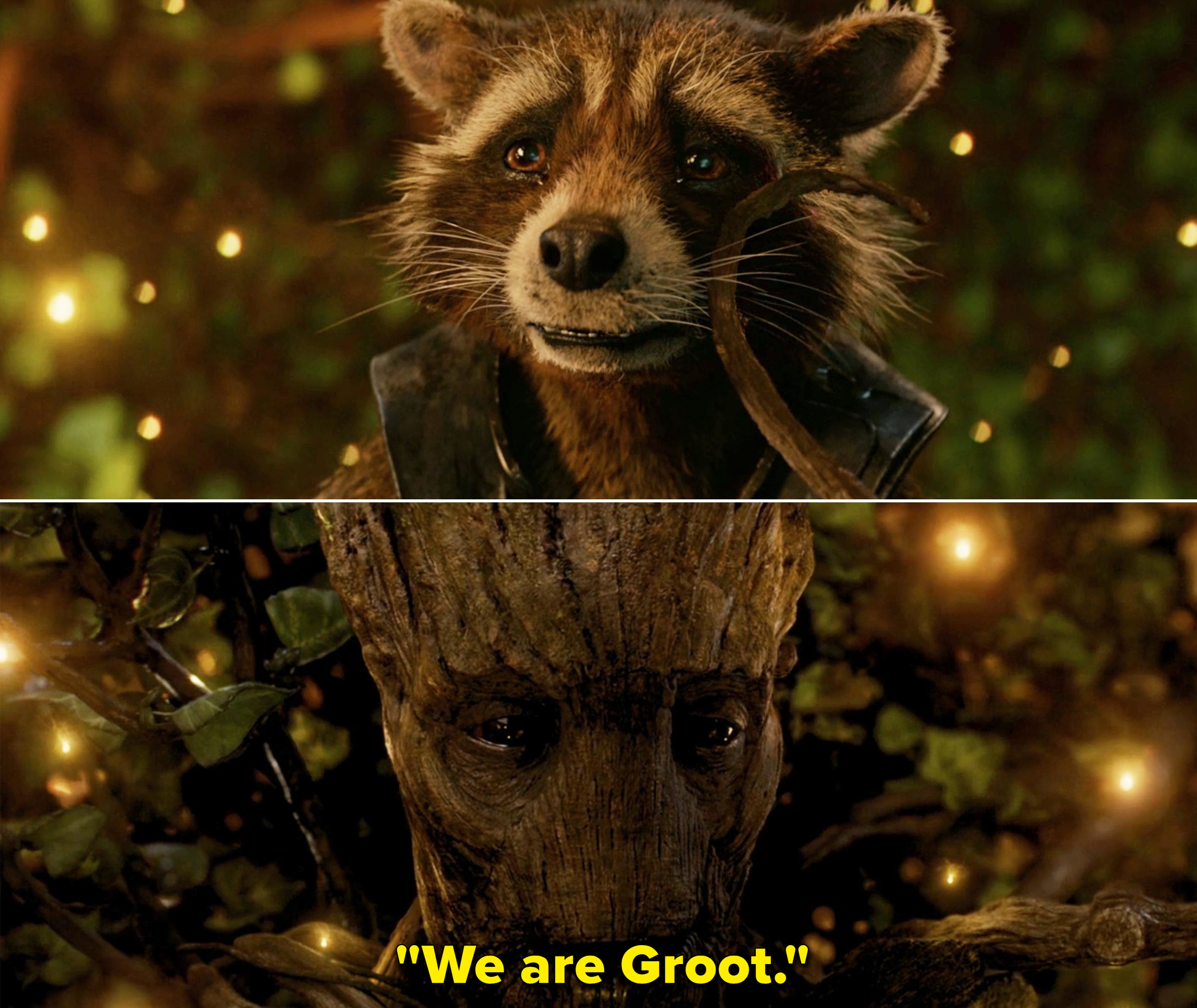 &quot;We are Groot.&quot;