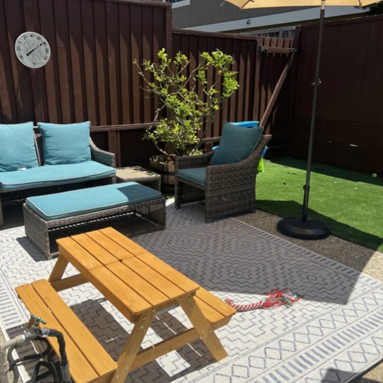 the light blue rug outside in reviewer's backyard
