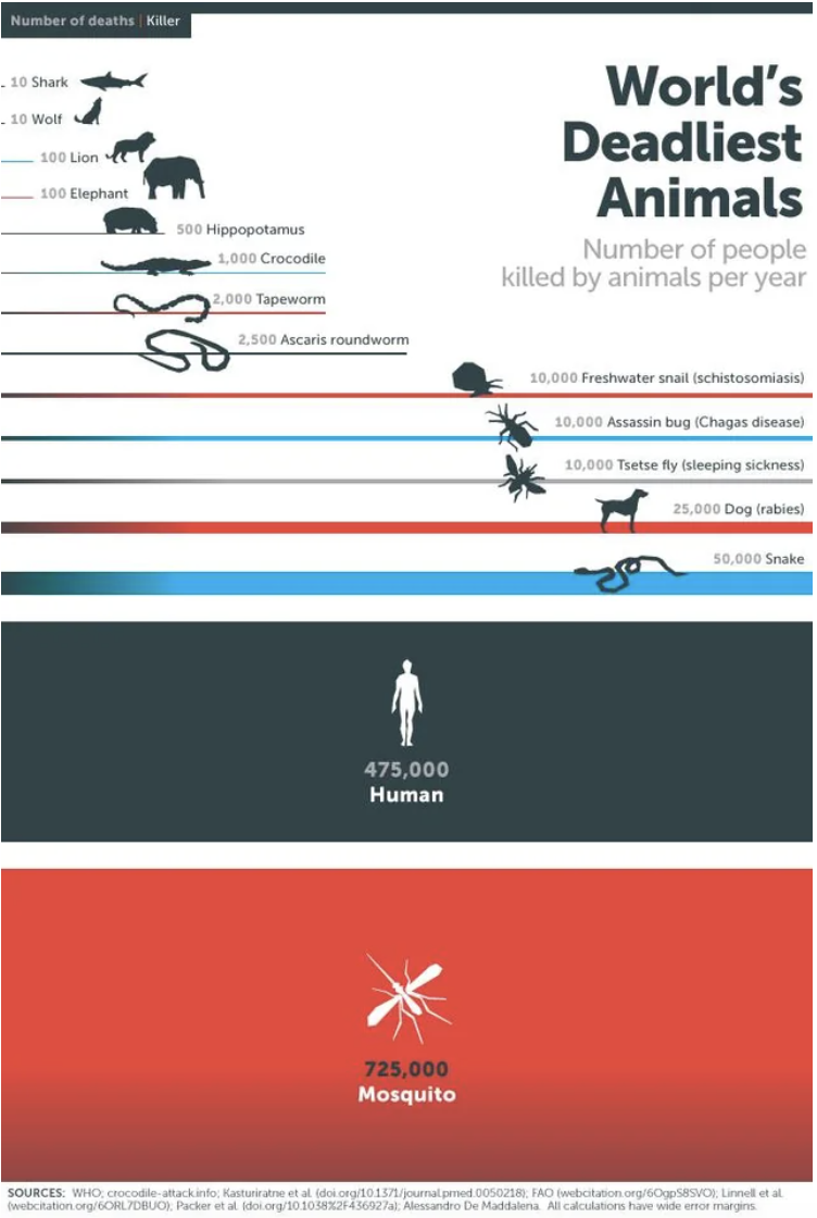 humans and mosquitos being the most deadly killers of humans