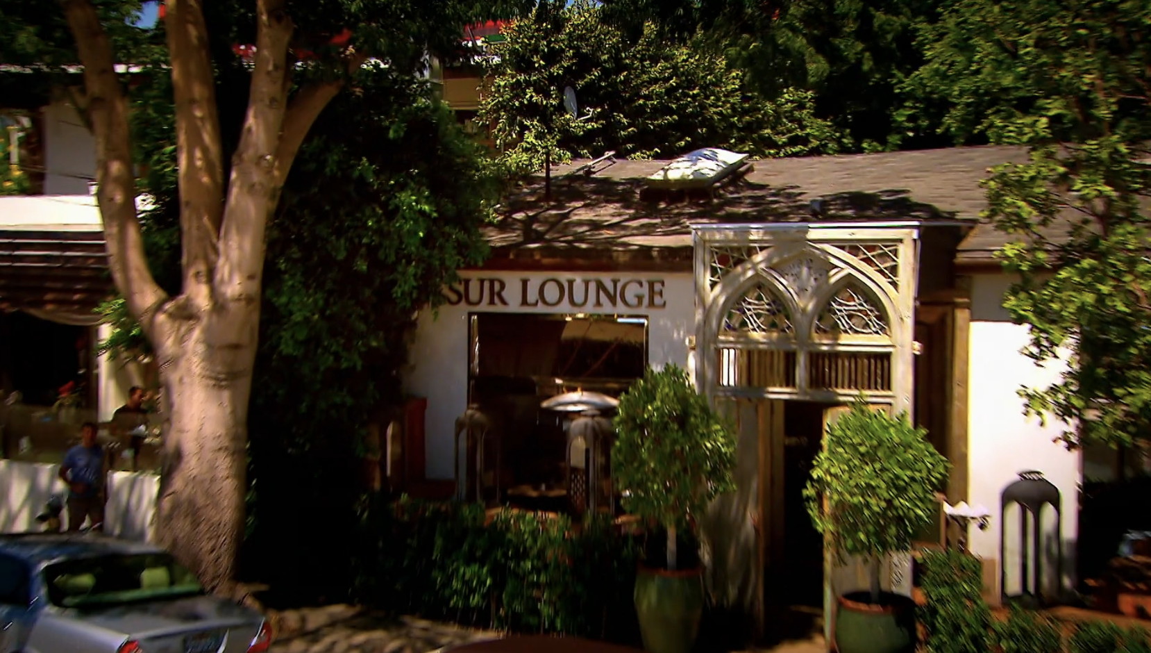 Lisa Vanderpump's Restaurants: SUR, TomTom, and in Las Vegas