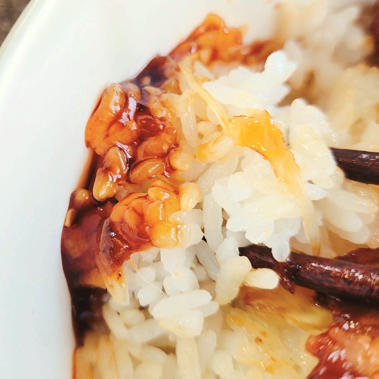 LAWSON(ローソン)のおすすめお弁当「てりやきソースの焼豚&から揚げ丼」