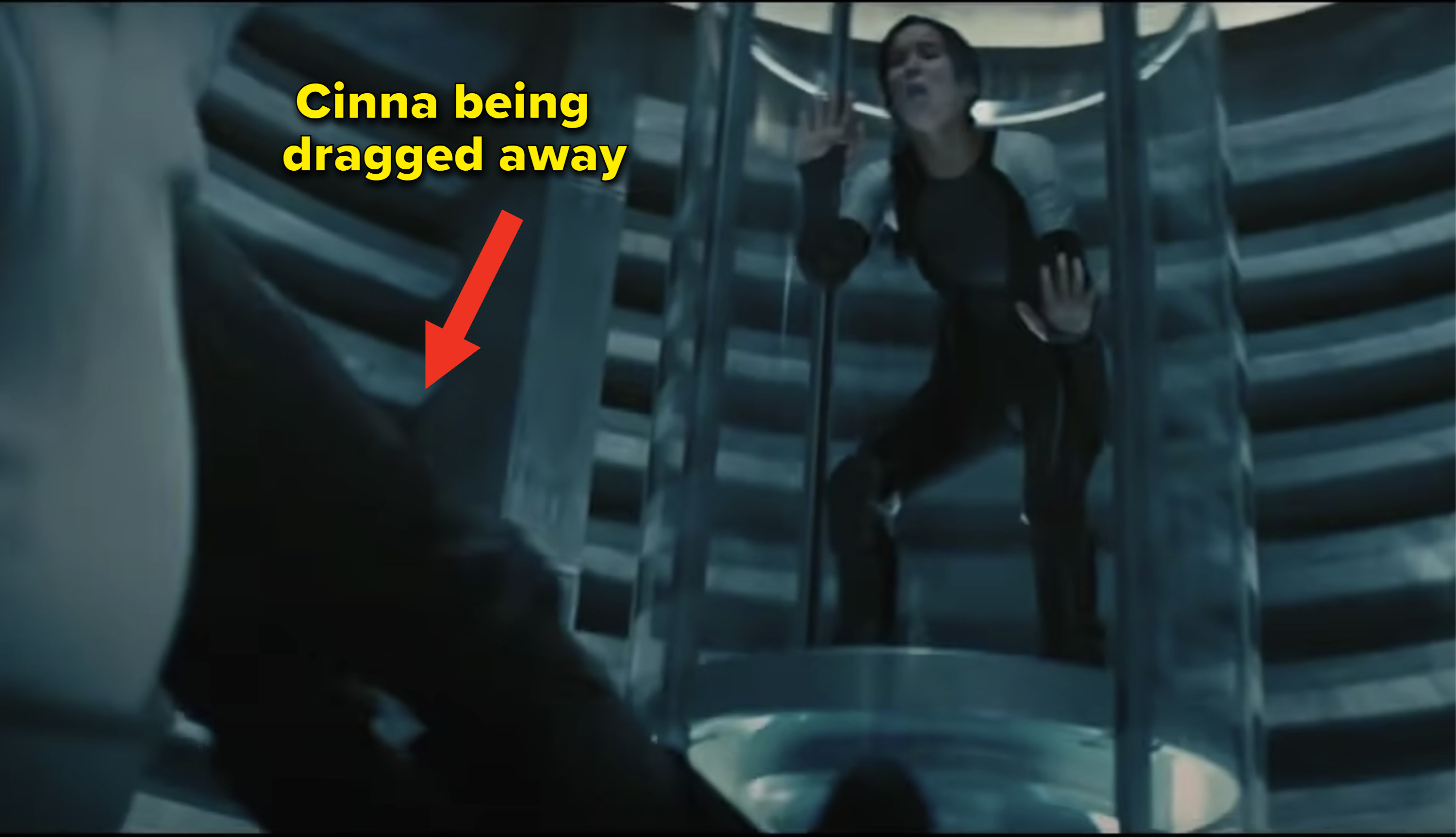 Katniss screaming out for Cinna as he is dragged away by guards