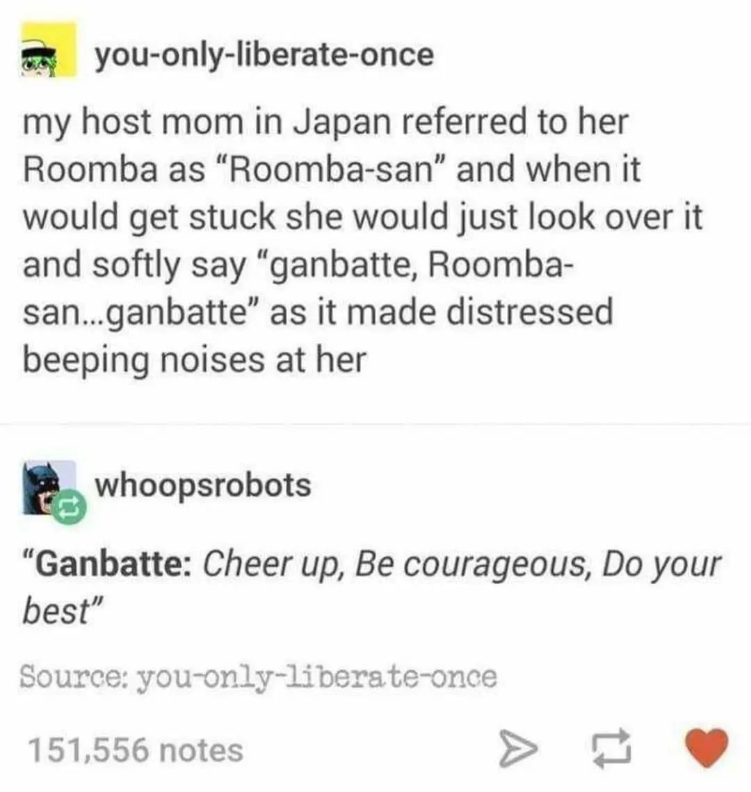 Person&#x27;s host mom in Japan would encourage their Roomba when it got stuck: &quot;Ganbatte, Roomba-san, ganbatte&quot; (&quot;Ganbatte&quot; means cheer up, be courageous, do your best&quot;