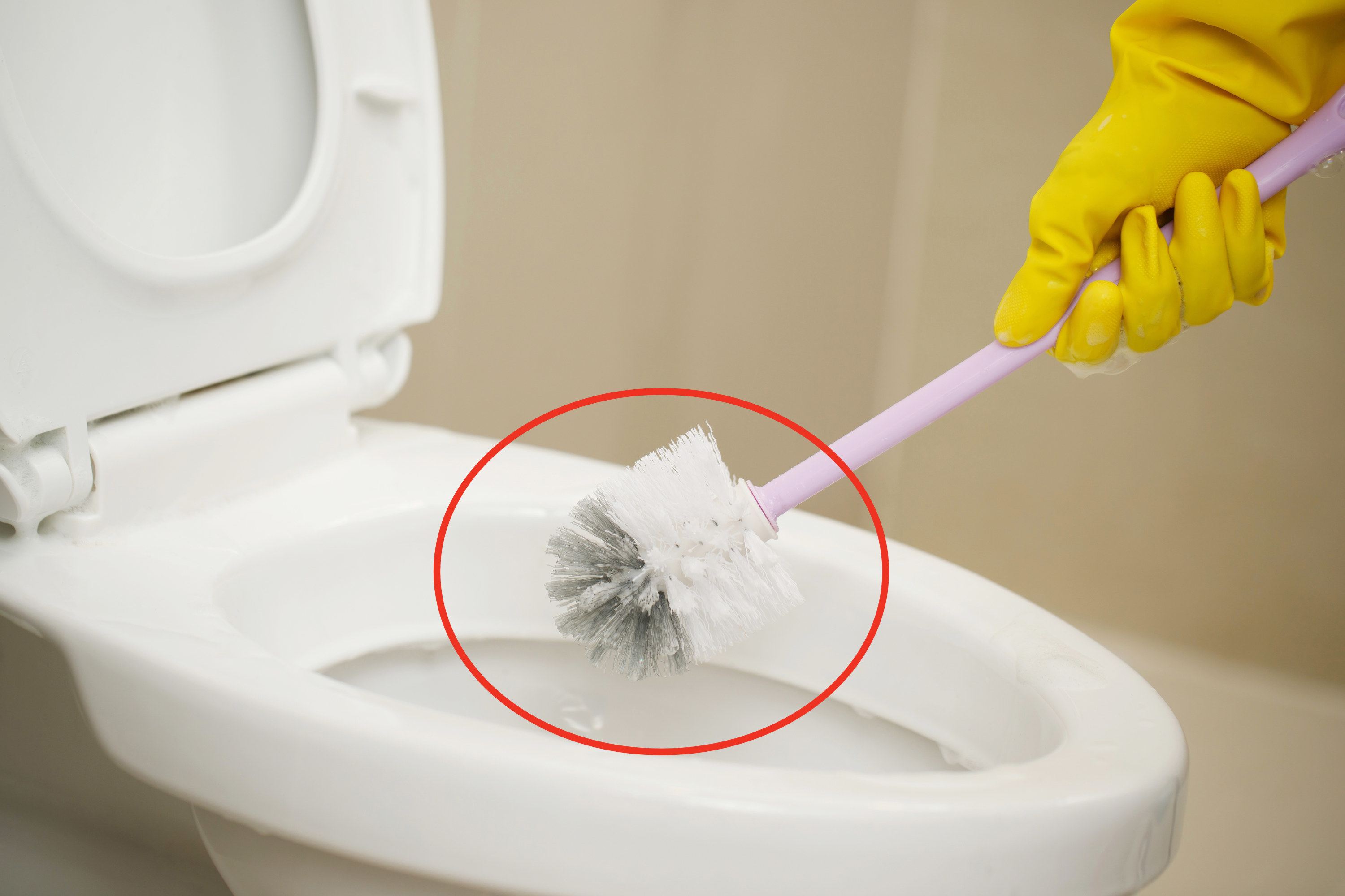 A rubber-gloved hand holding a toilet brush positioned above a toilet as if about to clean it