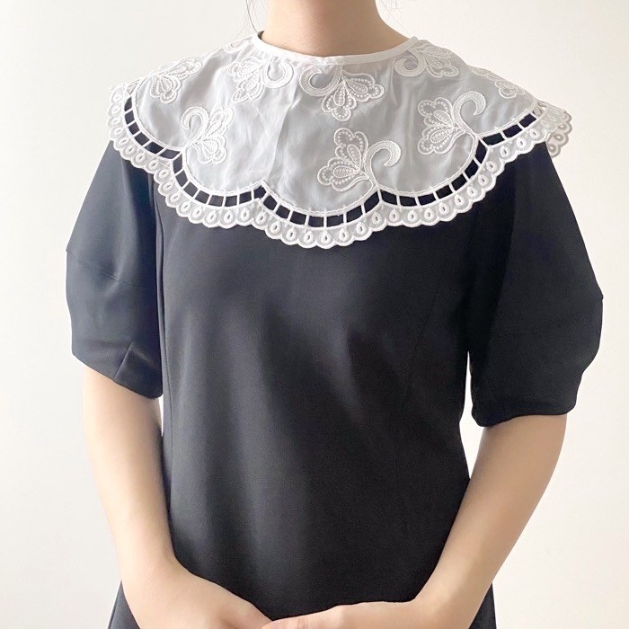 ZARAのオススメのファッション「刺繍入りつけ衿」