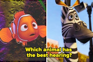 a disney animated pig next to a separate image of nemo from disney's finding nemo
