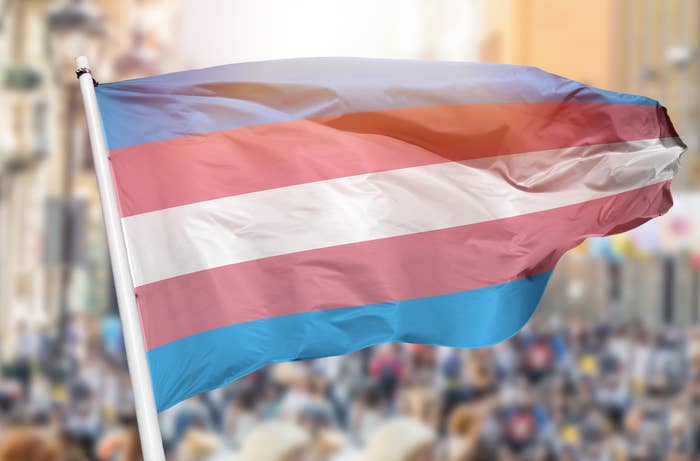 The trans flag