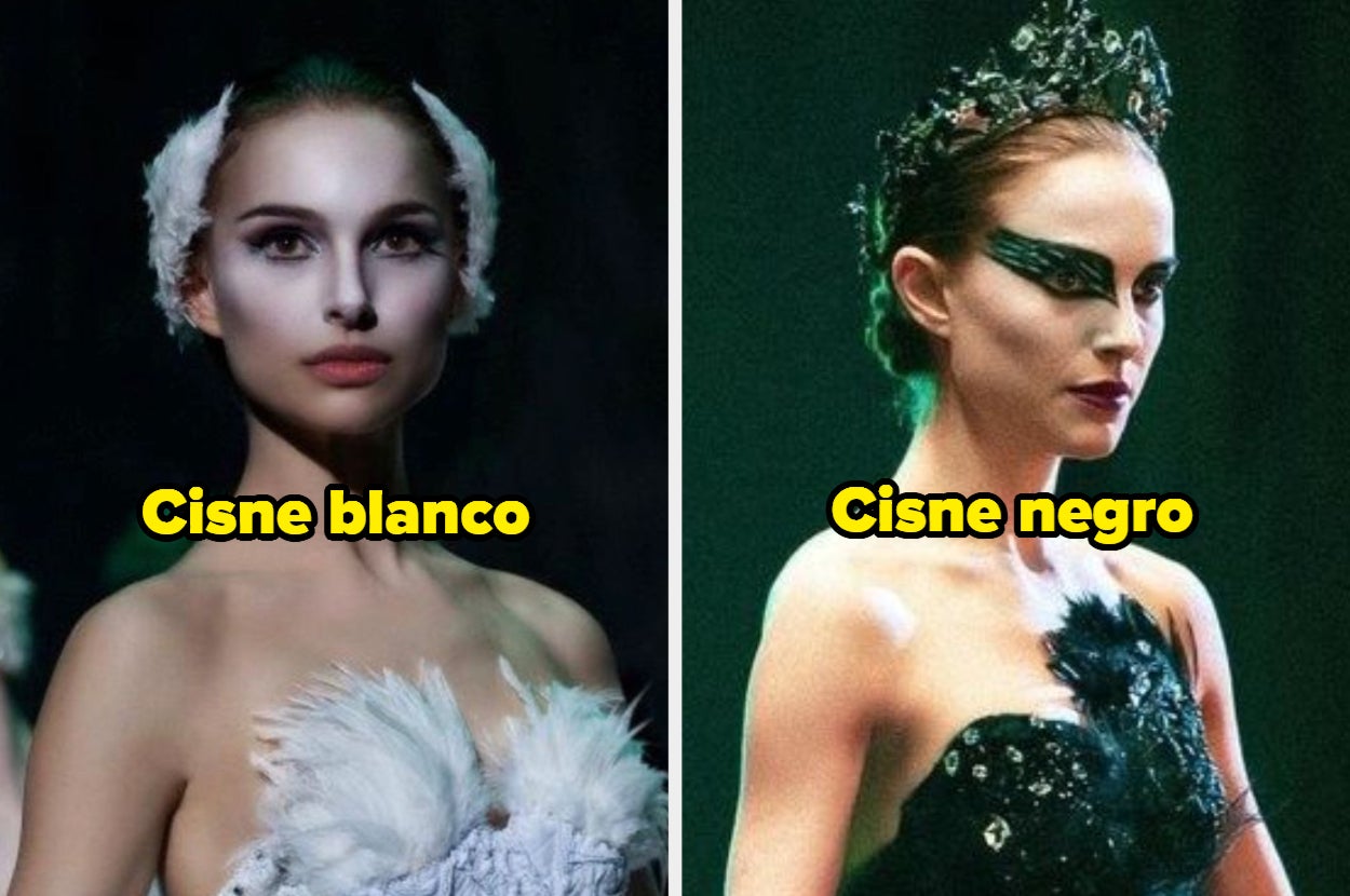 Resuelve este test de intuición y te diré si tienes espíritu de cisne ...