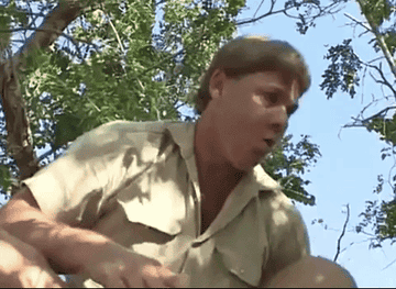Steve Irwin saying &quot;Danger, danger&quot;