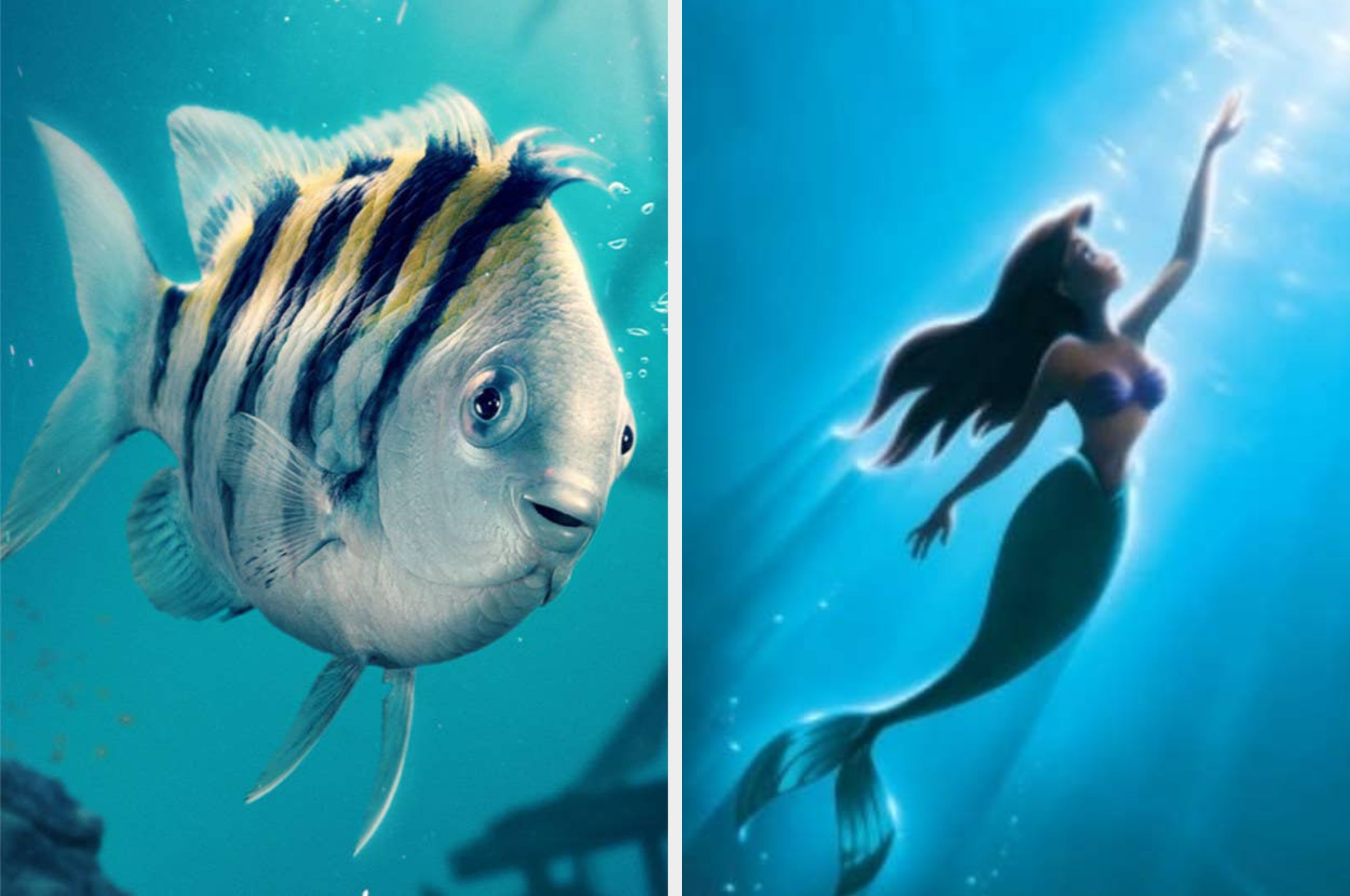 アリエル海の中背景 必見 実写版をもっと楽しめる リトル・マーメイド