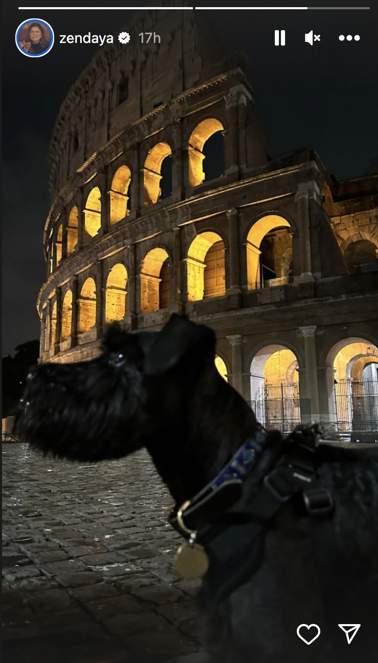 her dog in rome