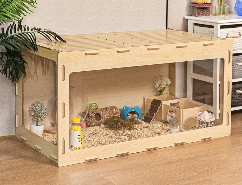 hamsters in the cage in a room