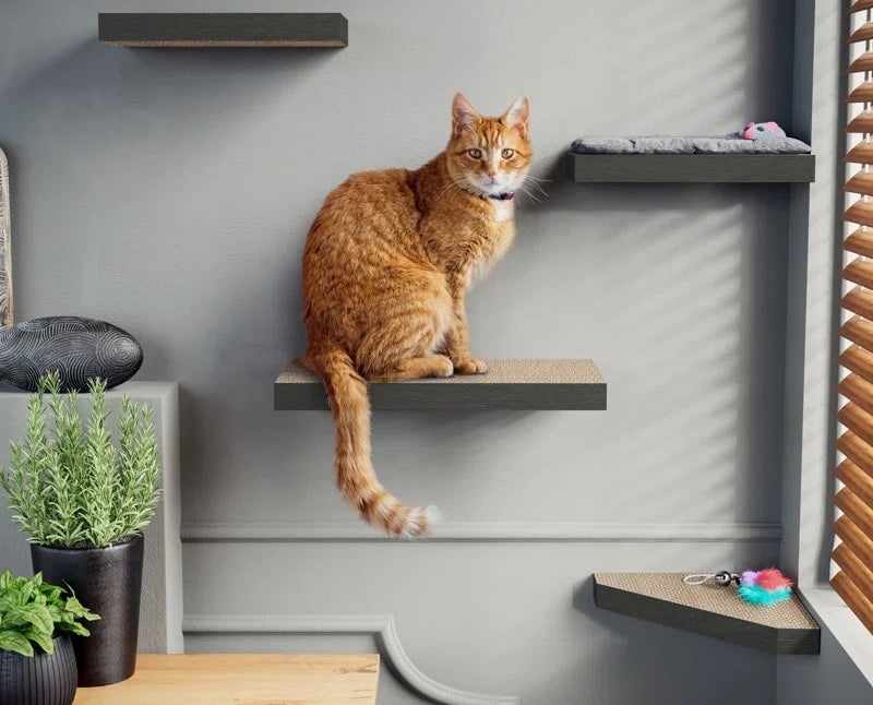 a cat sitting on a perch in black/brown mounted on a wall