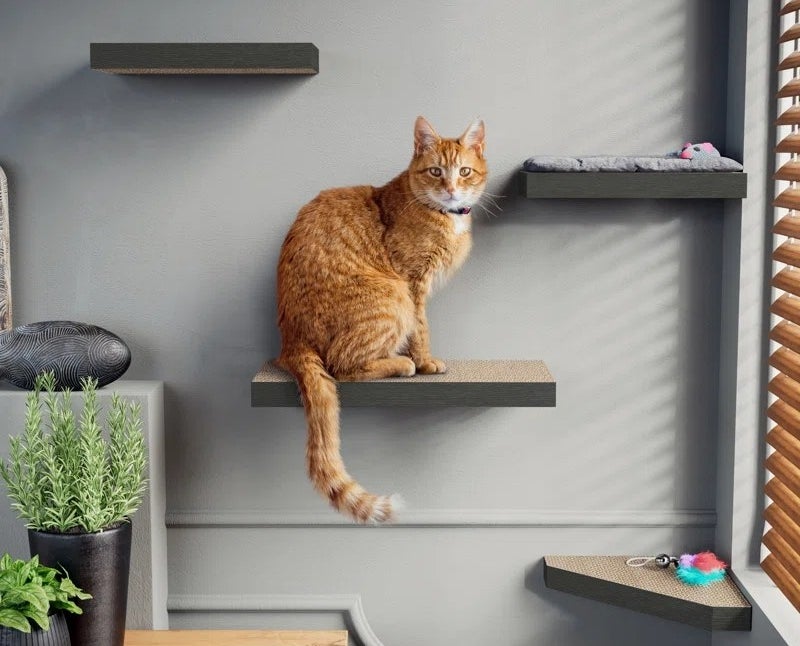 a cat sitting on a perch in black/brown mounted on a wall