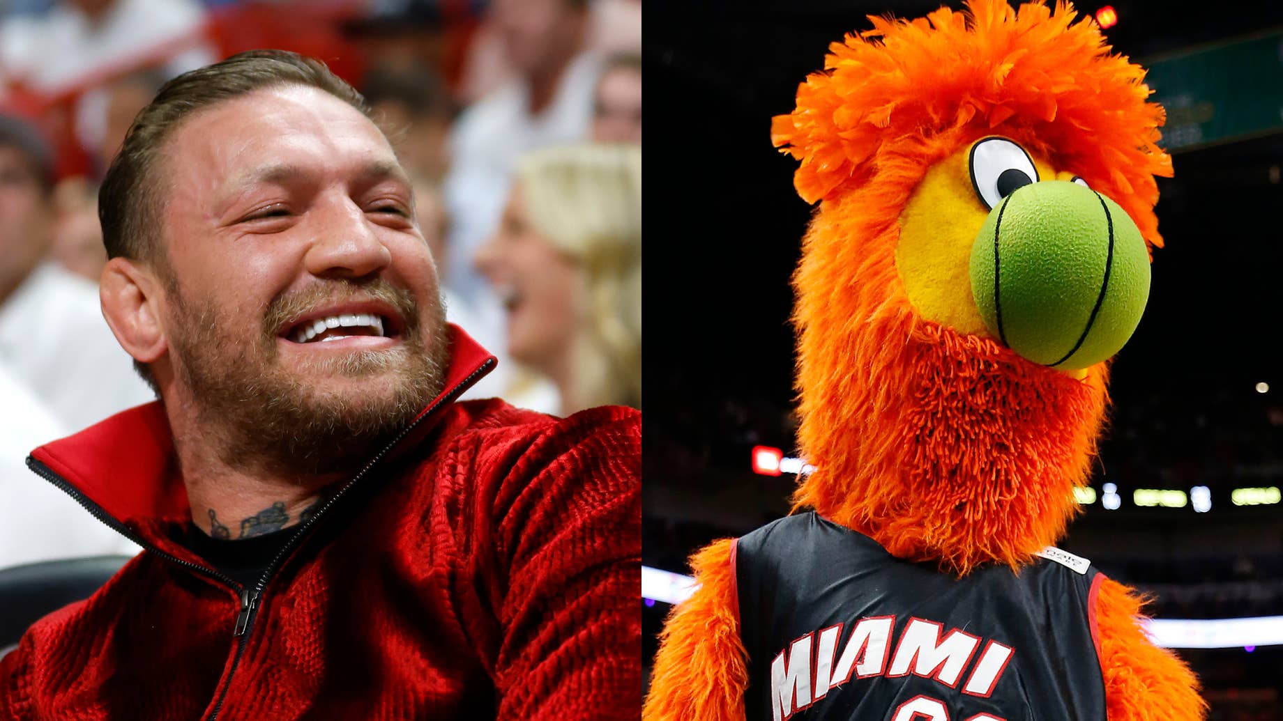 Conor McGregor Sends Heat Mascot to ER Complex