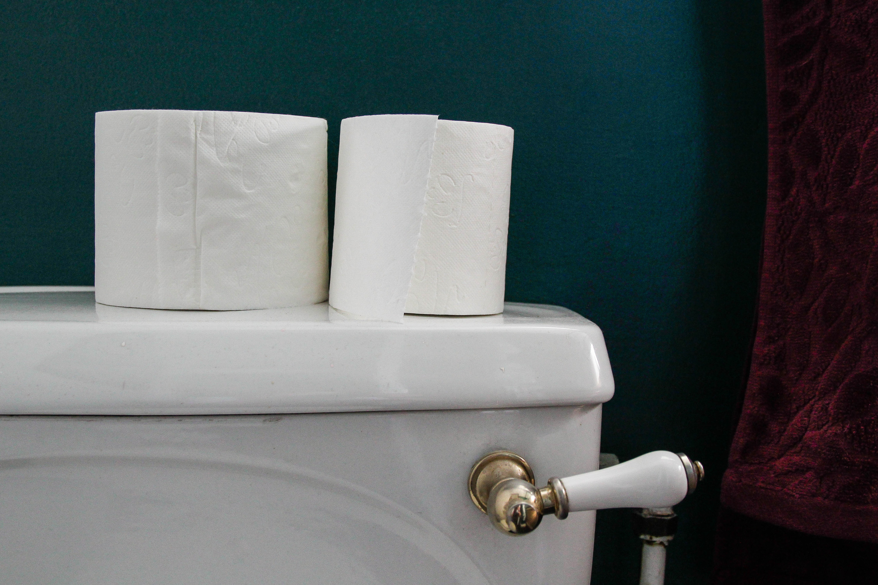 Toilet paper resting on a toilet