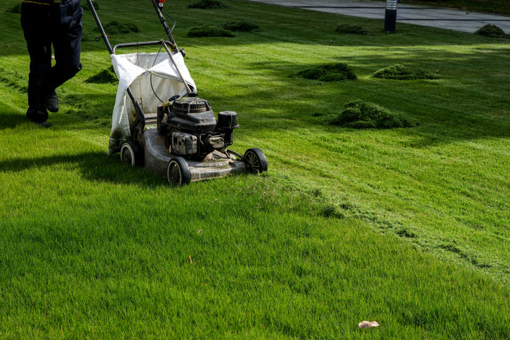 A person mowing their lawn