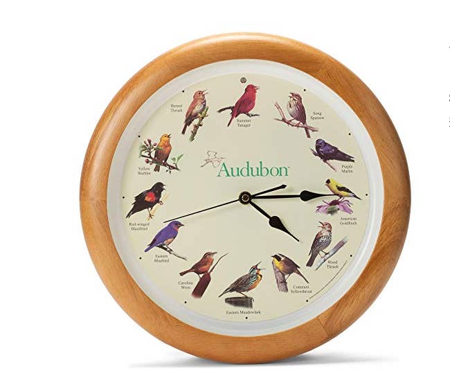 A clock with birds on it