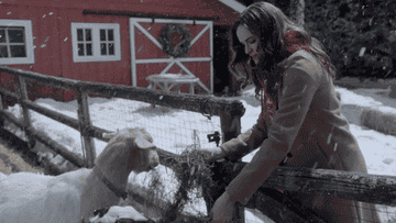A woman feeding farm animals in the snow in a Hallmark Channel Christmas movie