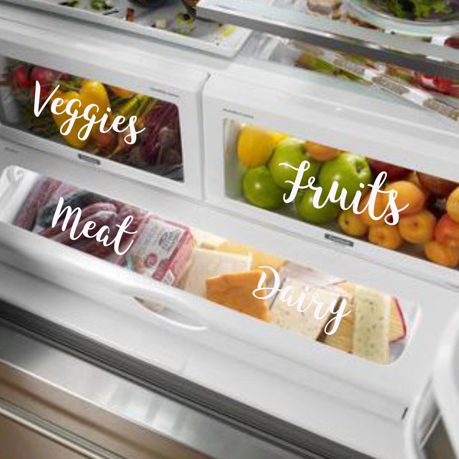 fridge with bins labeled veggies, fruits, meat, dairy in a white cursive font