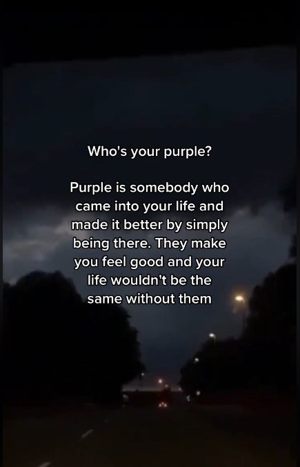 Purple people description