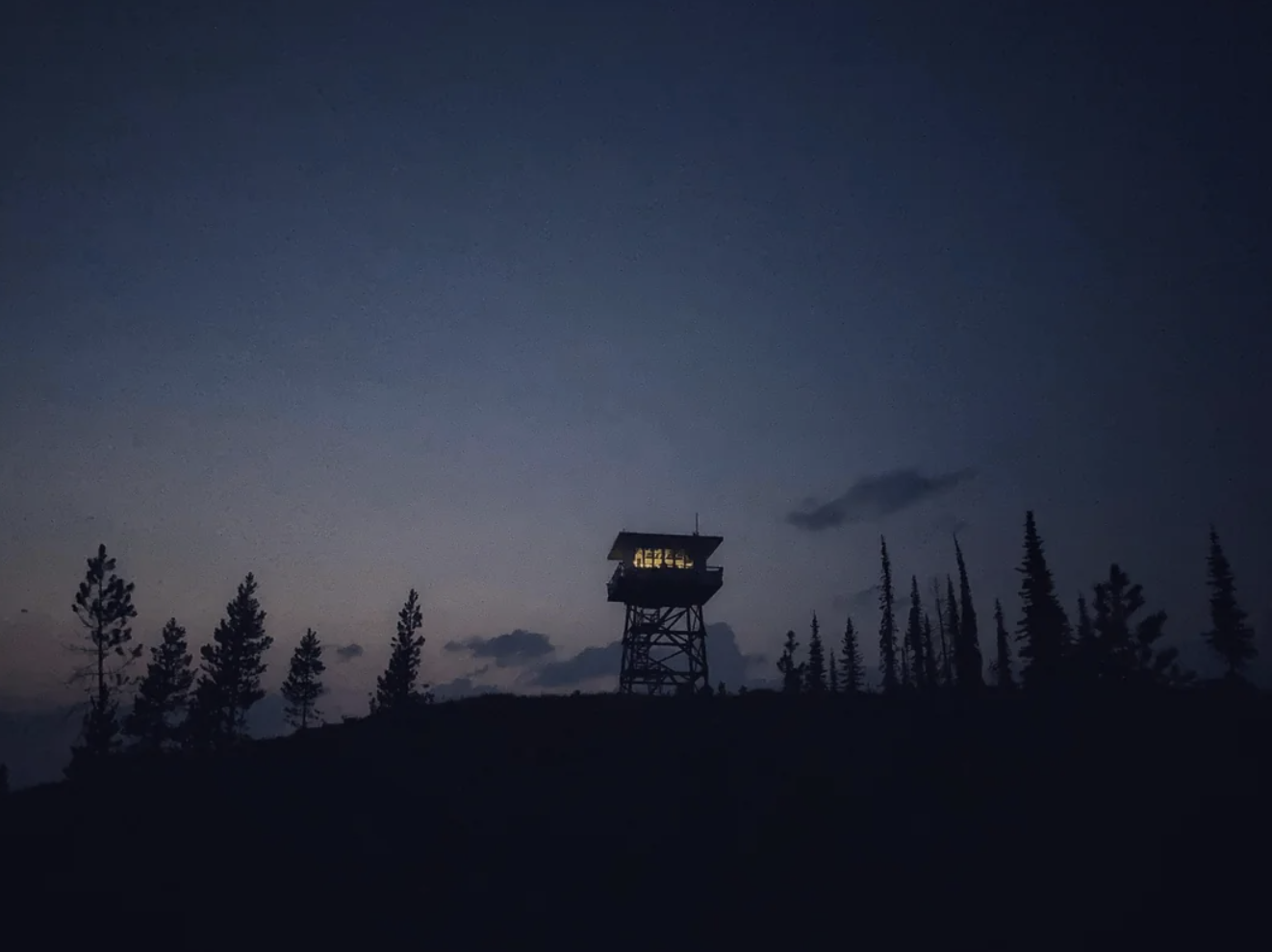 A tower surrounded by trees
