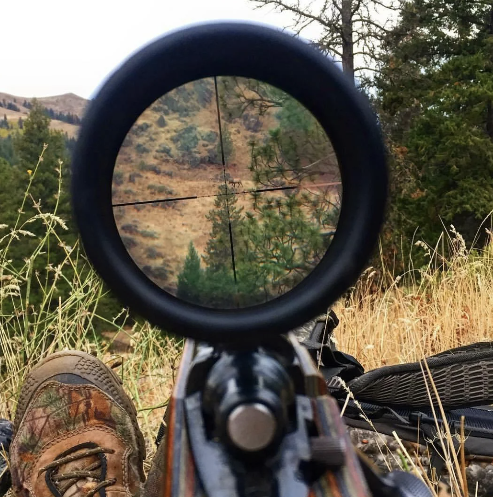 View through a rifle scope
