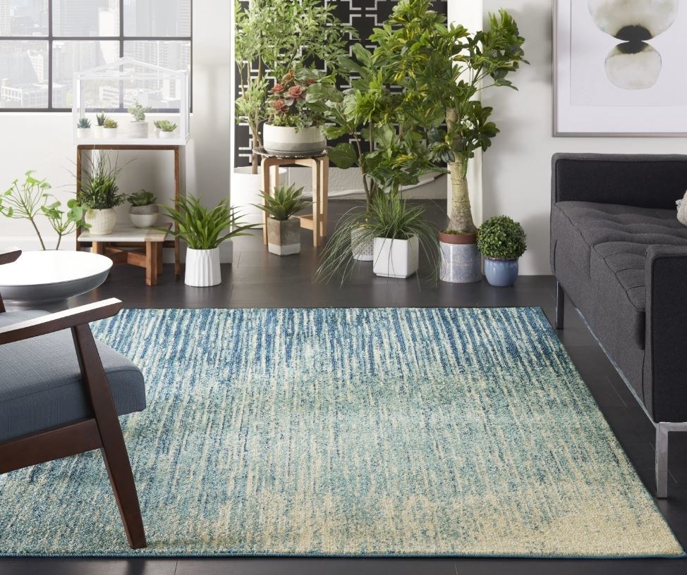patterned light blue rug with plants and couch