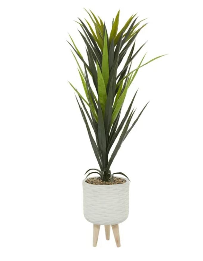 tall standing plant in white pot planter