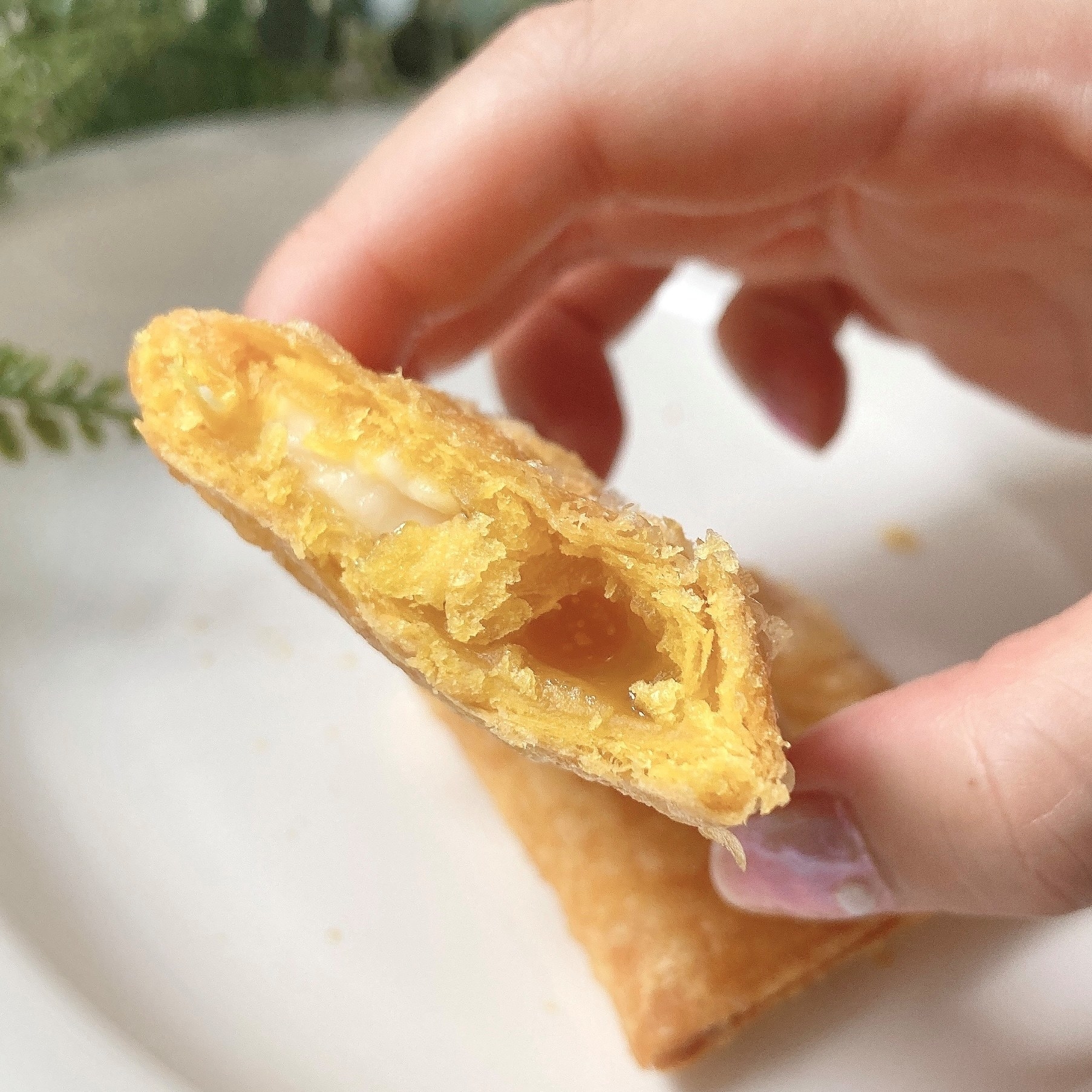 McDonald's（マクドナルド）のオススメのスイーツ「レモンチーズパイ」