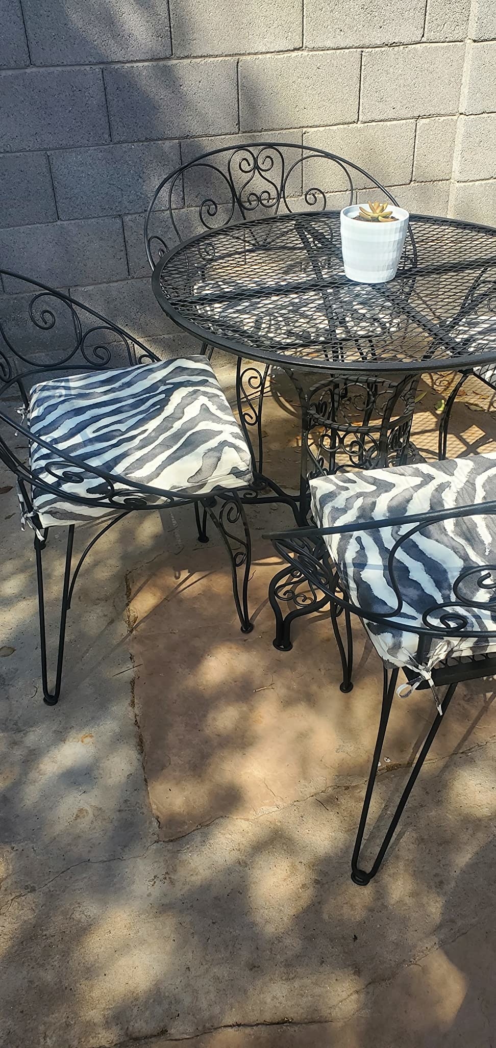 The cushions on patio chairs