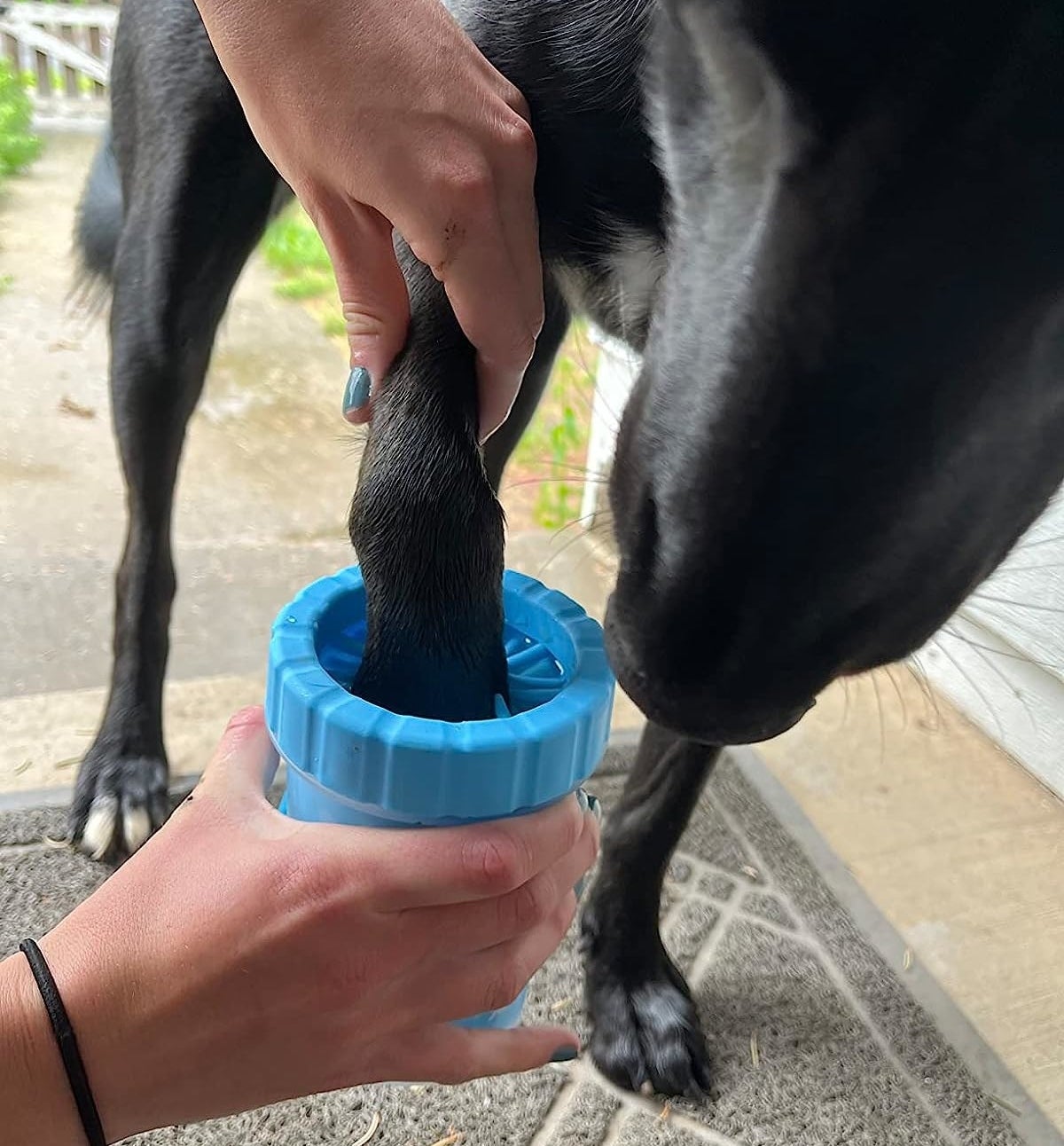 Reviewer using the paw cleaner to clean one of their dog&#x27;s paws