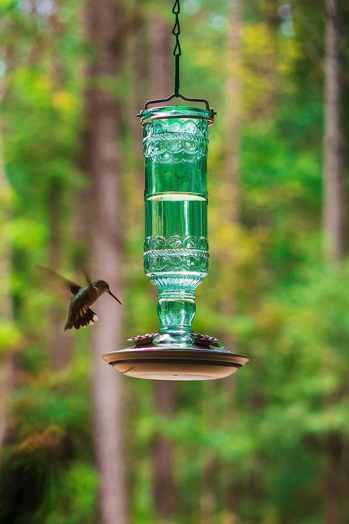 Reviewer&#x27;s photo of a hummingbird drinking from the hummingbird feeder in the color Green Bottle
