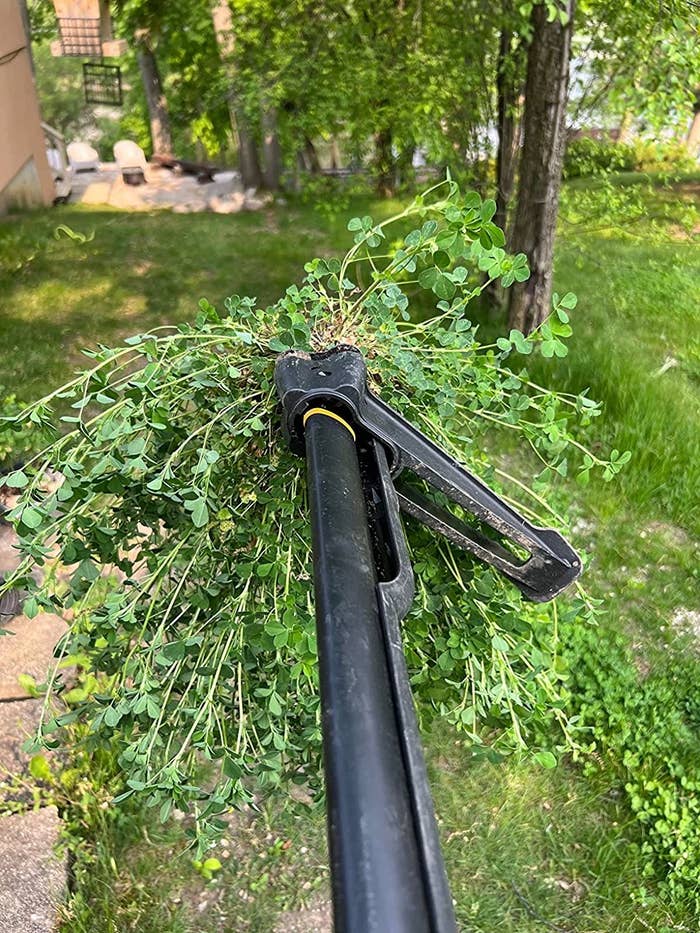 Reviewer&#x27;s photo of the weed puller with a bunch of weeds on the end of it
