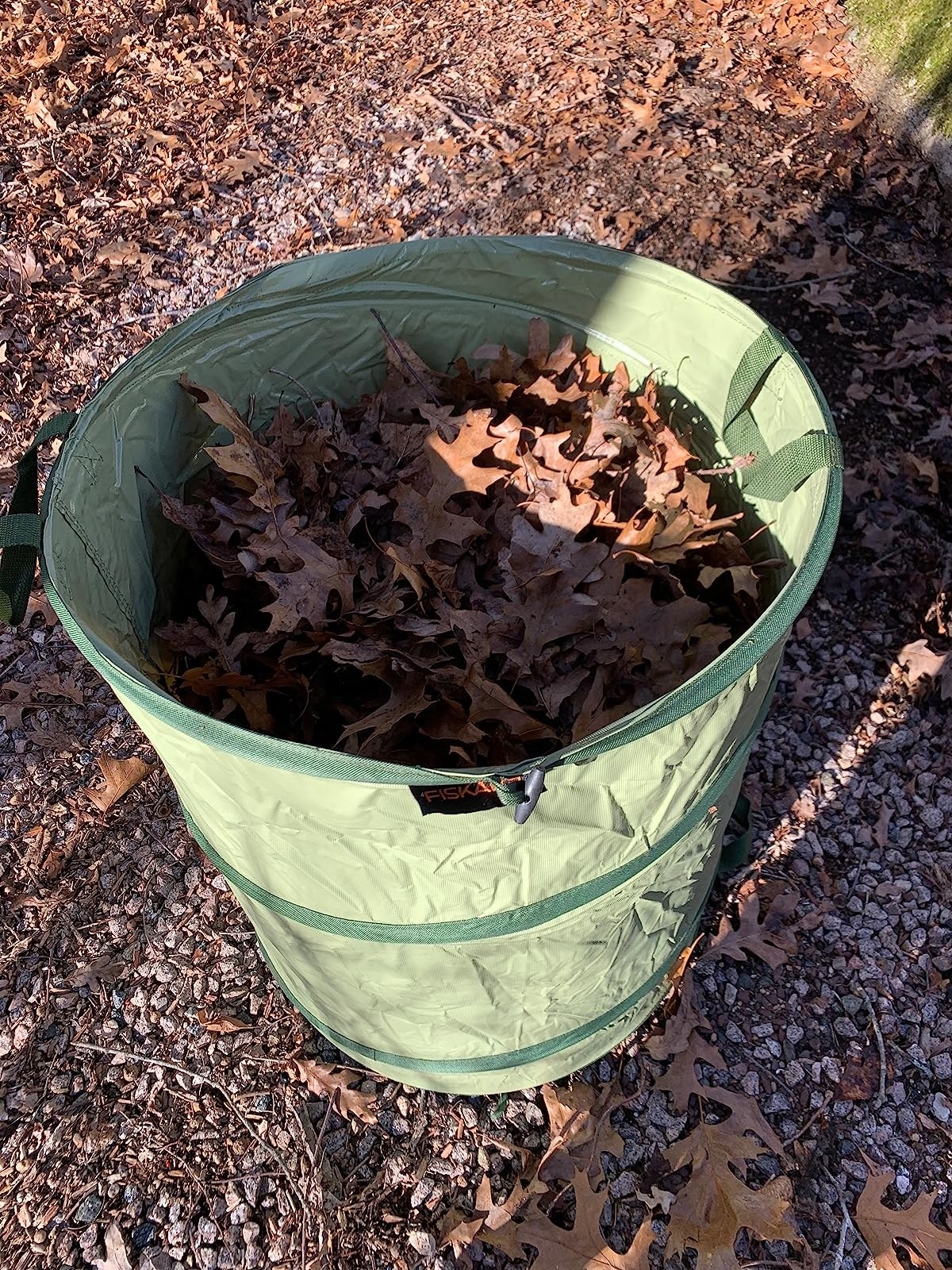 Reviewer&#x27;s photo of the yard waste bag