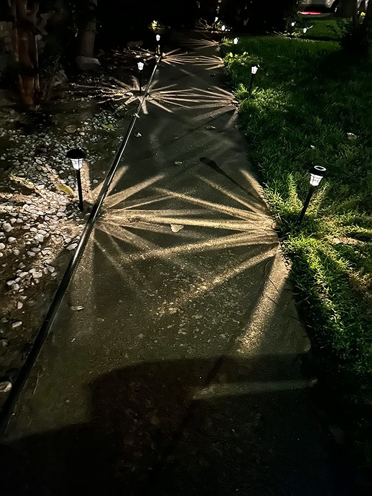 Reviewer&#x27;s photo of the garden pathway lights illuminating a walkway at night