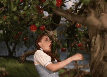 apple tree slapping dorothy&#x27;s hand in the 1939 wizard of oz movie