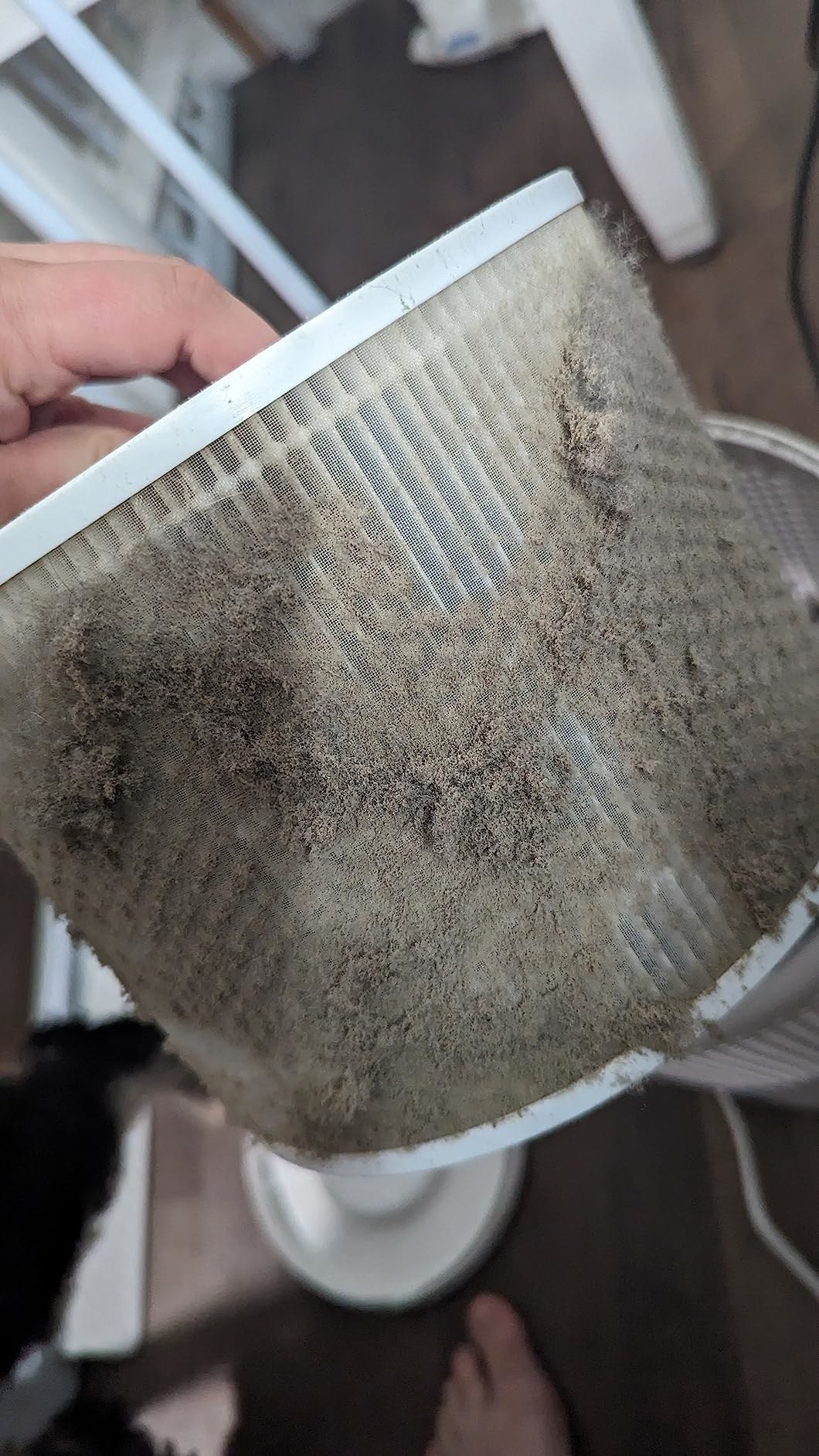 Reviewer holding the filter, which is covered in dust and particles